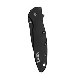 Kershaw 1660CKTST Leek, Black Serrated Pocket Knife; 3 Inch Partially Serrated -Professional Tool Store 31l3yuklqqL 33072.1661873029