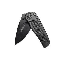 Kershaw 1313BLK Pocket Knife With 2-In. Steel Blade And All Steel Handle