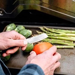 Kershaw 4384 Parley Traditional Slipjoint Folding Knife 3.1" Satin Cleaver Blade -Professional Tool Store 51 HYSvrtRL 70366.1661873049